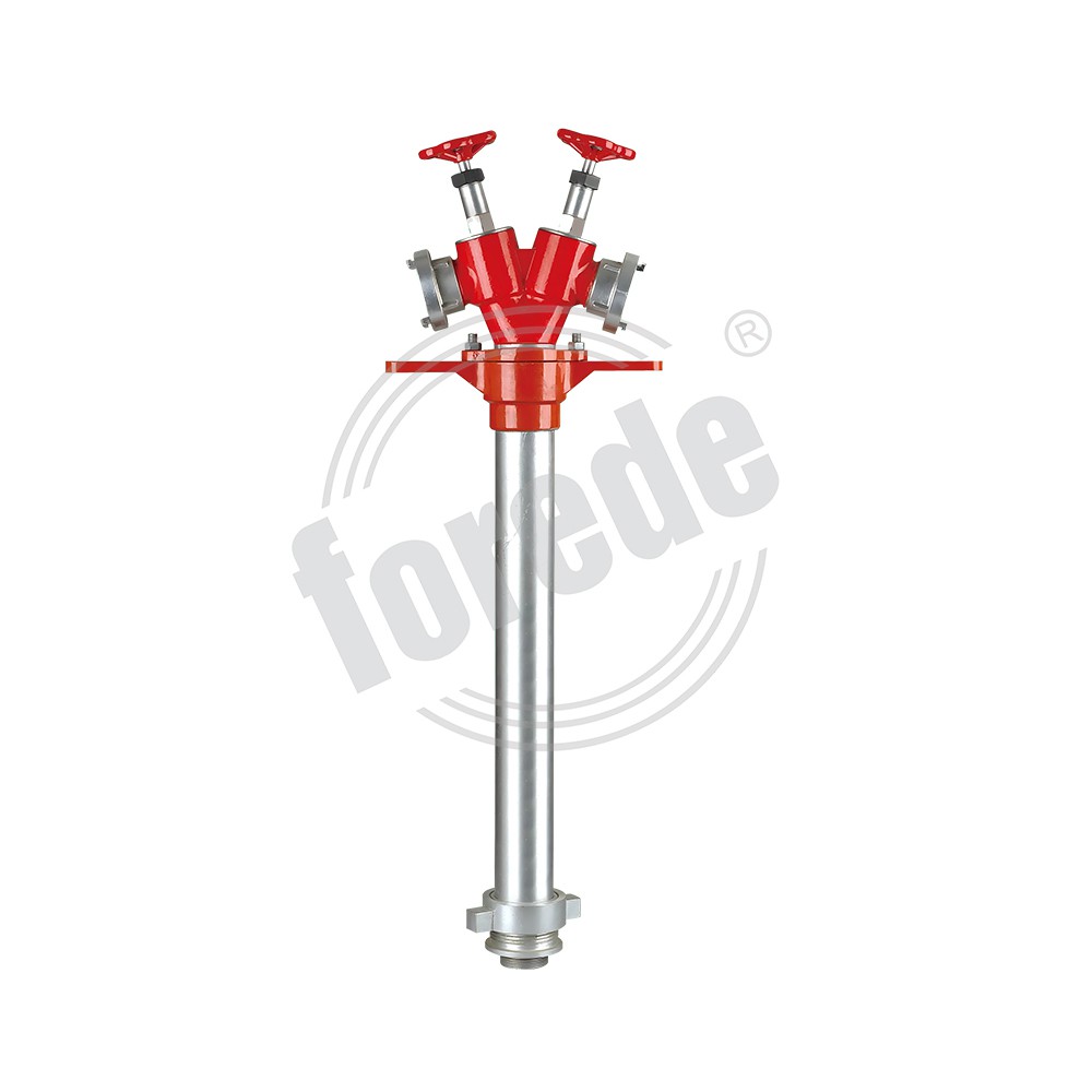 product-1000-1000 product-1000-1000